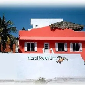 coral-reef-inn.quintano-roohotels.com/